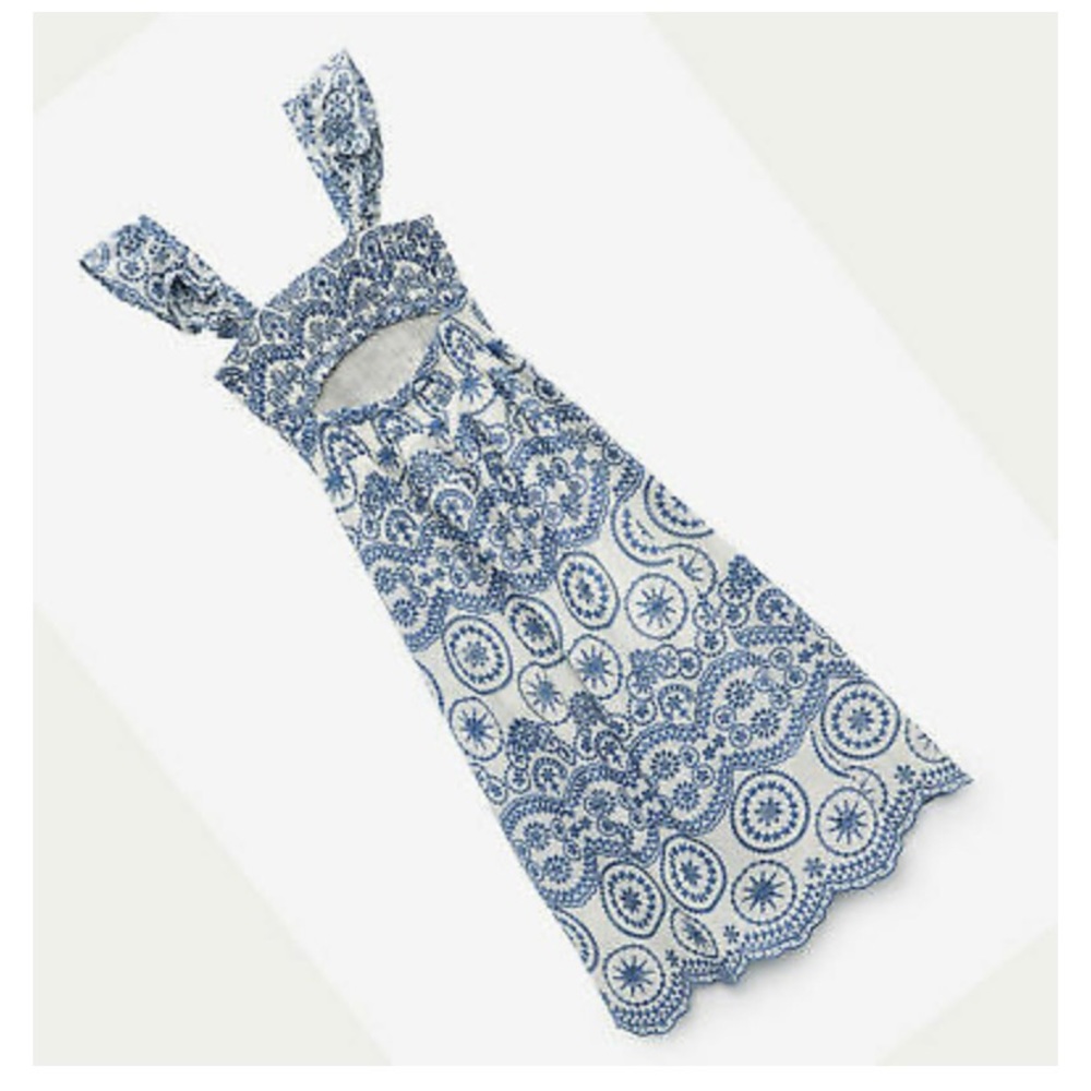 Zara Openwork Embroidered Midi Dress RARE - Picture 8 of 8
